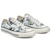 Carhartt WIP x Chuck 70 Low «Hinterland»