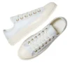 Chuck 70 Low Lace Trim «Egret Barely Grey»