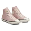 Chuck Taylor All Star High «Autumn Embroidery Stone Mauve»