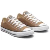Chuck Taylor All Star Low Canvas «Marrón»