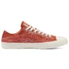 Chuck Taylor All Star Low «Summer Daze»