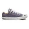 Chuck Taylor All Star Seasonal Low Top «Purple White»