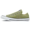 Chuck Taylor All Star Slip Low «Street Sage»