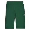 Pantalones cortos de felpa de corte estándar con estrella bordada y diseño en zigzag – Tallas asiáticas «Verde»
