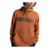 Sudadera con capucha Chuck Taylor All Star Logo Namesake, tallas asiáticas, «Caqui»